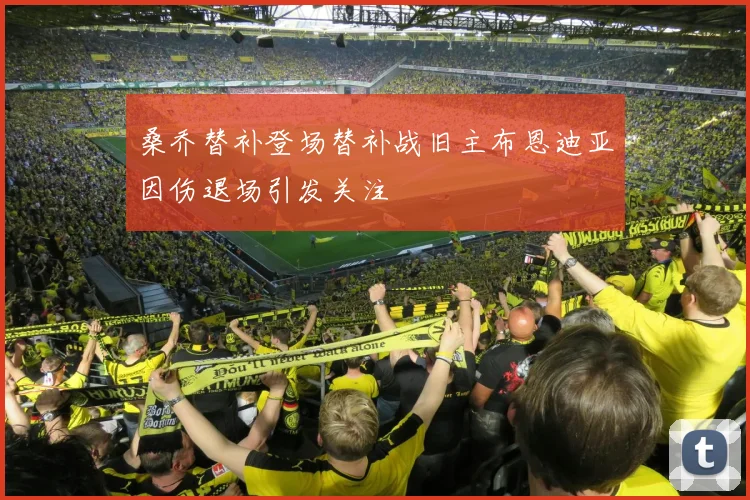 桑乔替补登场替补战旧主布恩迪亚因伤退场引发关注