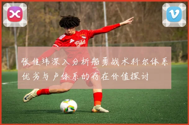 张佳玮深入分析船勇战术科尔体系优劣与卢体系的存在价值探讨