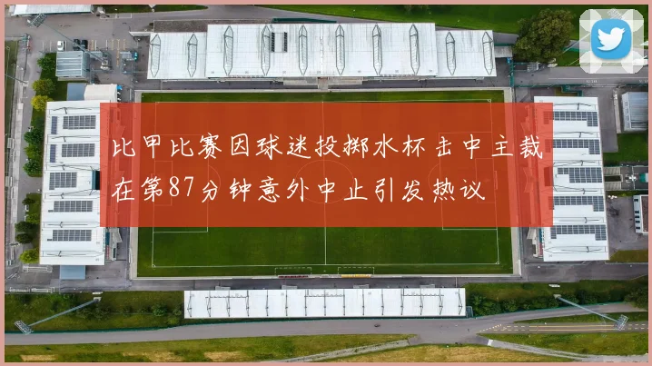 比甲比赛因球迷投掷水杯击中主裁在第87分钟意外中止引发热议